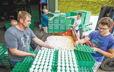 &ldquo;毒雞蛋&rdquo;大鬧歐洲?!別擔心,中國尚未從歐盟進口禽蛋產品!