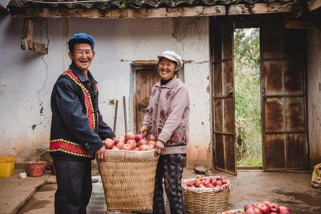 買菜成為時髦雙11淘菜菜農產品銷售超過24億斤