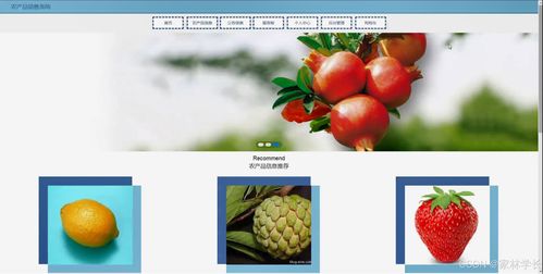 java計(jì)算機(jī)畢業(yè)設(shè)計(jì)農(nóng)產(chǎn)品銷售系統(tǒng) 開題報(bào)告 源碼 論文