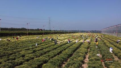 彬州:農(nóng)特產(chǎn)品多證賦能 打通產(chǎn)業(yè)振興&ldquo;大動脈&rdquo;