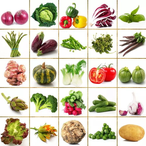 11月,宜昌優(yōu)質(zhì)農(nóng)產(chǎn)品產(chǎn)地及銷區(qū)批發(fā)市場價格信息參考