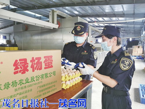 海關(guān)助力茂名鮮雞蛋首次出口，網(wǎng)上銷售初級(jí)農(nóng)產(chǎn)品邁新步