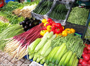 青島氣溫升高菜價(jià)持續(xù)回落，家禽供應(yīng)平穩(wěn)價(jià)格企穩(wěn)